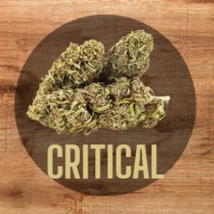 Critical