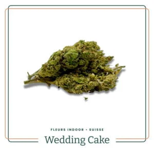 WEDDING CAKE CBD FLEURS