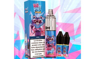 Mr Blue: Mûre, Myrtille, Framboise, Fraise – Big Puff 15K Tornado
