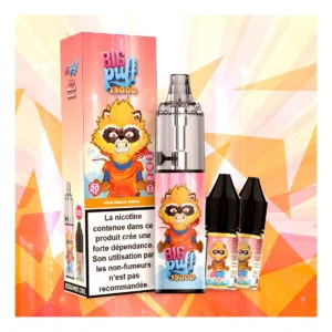 Peche Mangue Ananas - Big Puff 15K Tornado