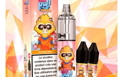 Peche Mangue Ananas – Big Puff 15K Tornado